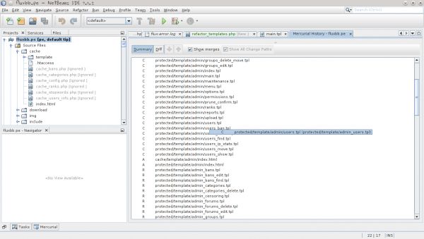 netbeans.mercurial.copied.files.history.png