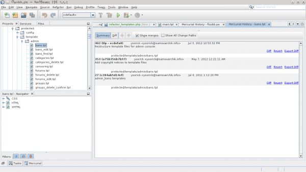 netbeans.mercurial.copied.files.one.file.history.png
